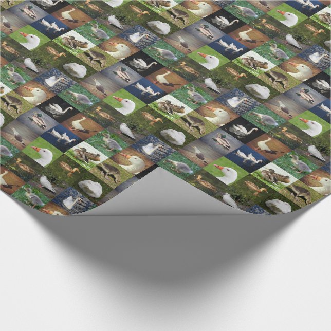 Papel De Presente Folha de Foto - Pássaros (Ponta)