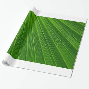 Papel De Presente Folha de Palmeira