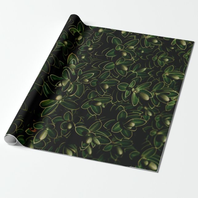 Papel De Presente Folha verde (Desenrolado)