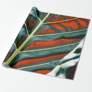 Papel De Presente Folha verde
