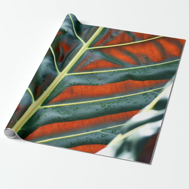 Papel De Presente Folha verde (Desenrolado)