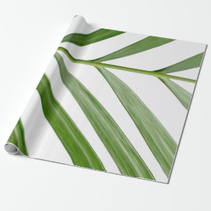Papel De Presente Folha verde durante o dia
