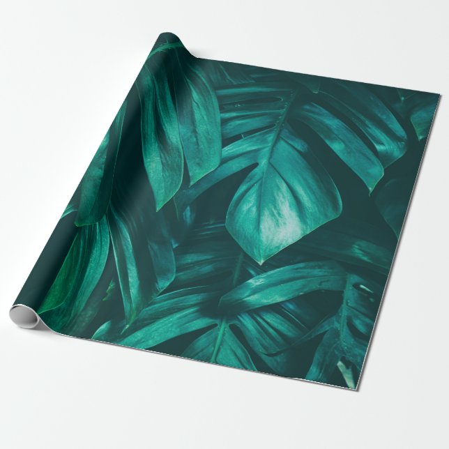 Papel De Presente folhagem da selva tropical,folha verde escura bac (Desenrolado)