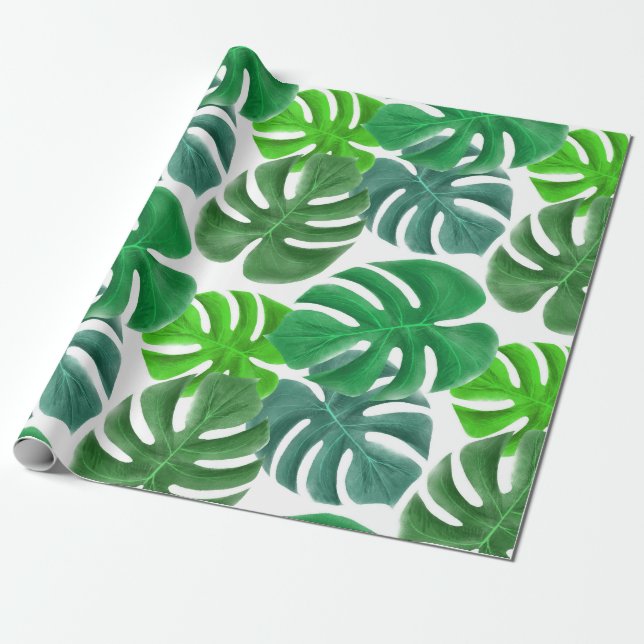 Papel De Presente Folhagem Folhas Tropicais Monstera (Desenrolado)