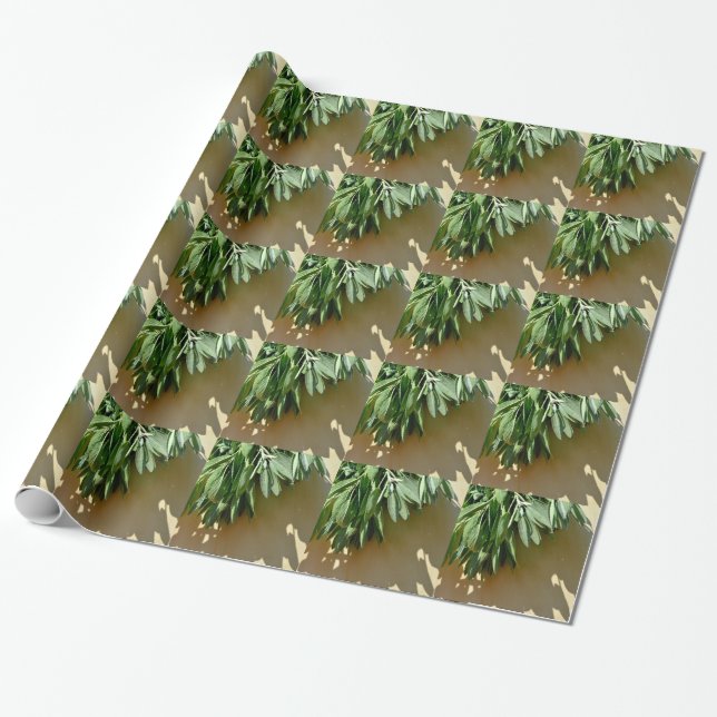 Papel De Presente Folhas botânicas verdes Elegantes Plantas aromátic (Desenrolado)
