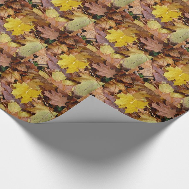 Papel De Presente Folhas de bordo caídas amarelas de outono natureza (Ponta)