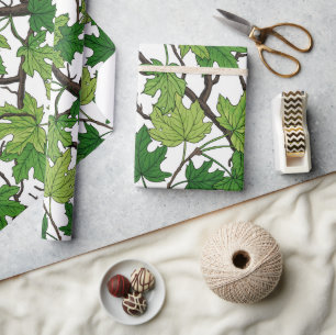 Papel De Presente Folhas de bordo em branco