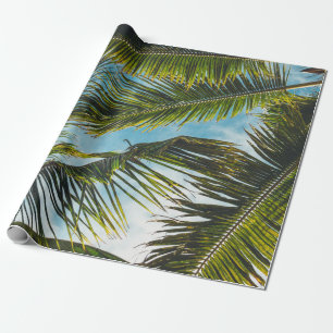 Papel De Presente Folhas de coco sob céu azul pela manhã