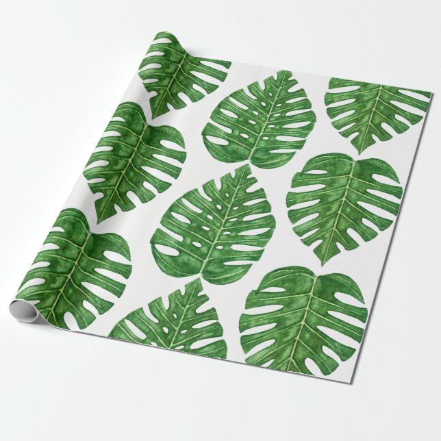 Papel De Presente Folhas de Monstera da aguarela (Desenrolado)