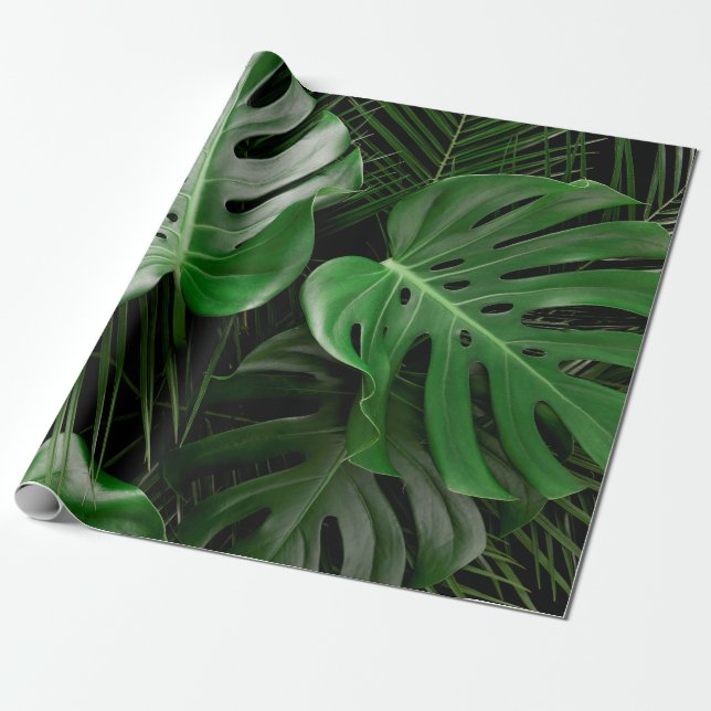Papel De Presente Folhas de monstera verde e palmeiras (Desenrolado)