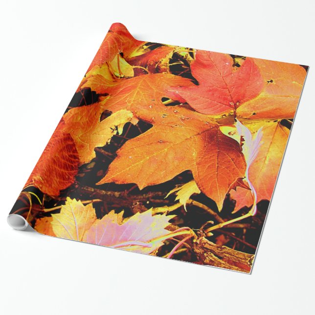 Papel De Presente Folhas de Outono Laranja Ousado Impressionante (Desenrolado)