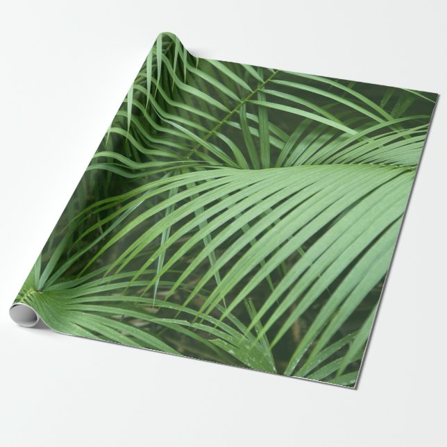 Papel De Presente Folhas de Palma Verde Tema Natureza (Desenrolado)