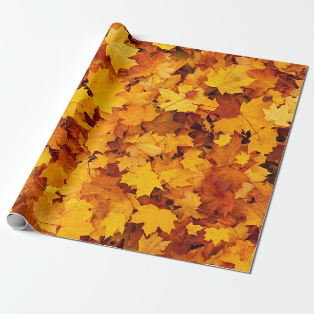 Papel De Presente Folhas do Autumn Maple (Desenrolado)