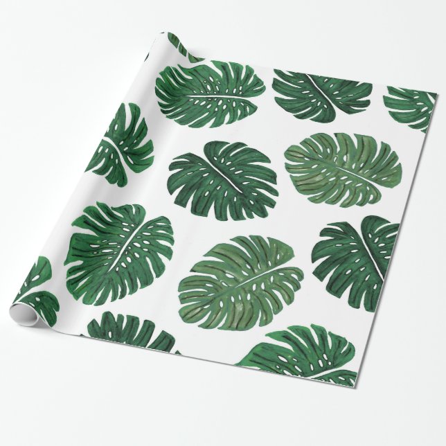 Papel De Presente Folhas pintados mão tropicais da planta do queijo (Desenrolado)