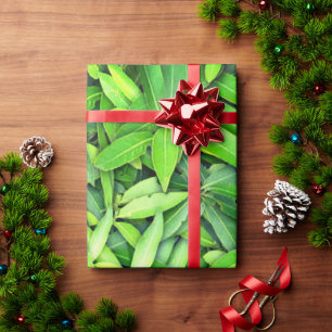 Papel De Presente Folhas verdes realistas