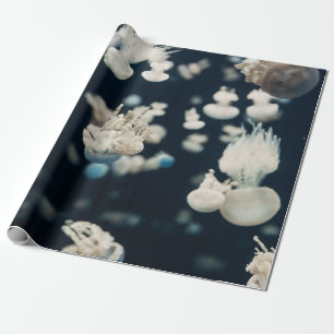 PAPEL DE PRESENTE FOTO BRANCA DE PEIXE SUBÁGUA