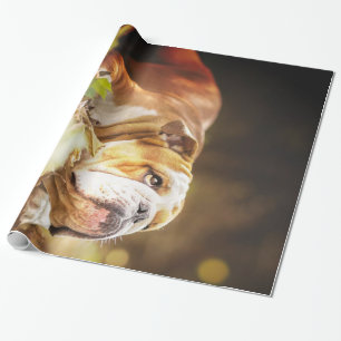 Papel De Presente Foto da Floresta do Bulldog Inglês