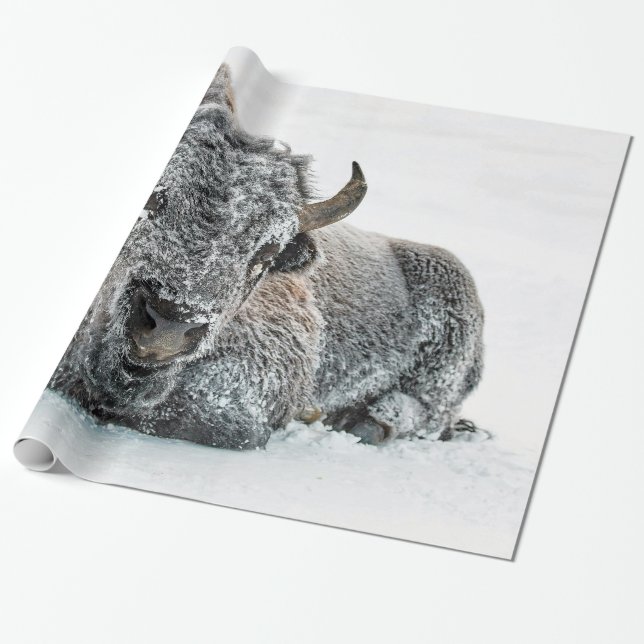 Papel De Presente Foto da Neve de Buffalo (Desenrolado)