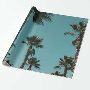 Papel De Presente Foto das árvores de baixo ângulo da manhã