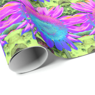 Papel De Presente Foto de girassol funky retrô azul rosa