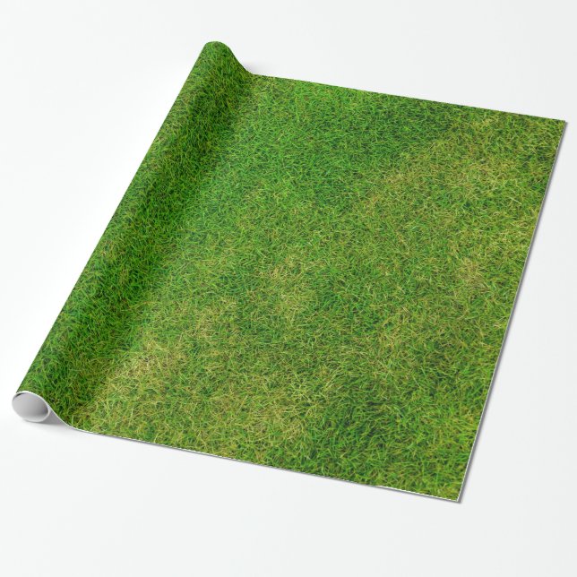 Papel De Presente Foto de Grama Verde (Desenrolado)