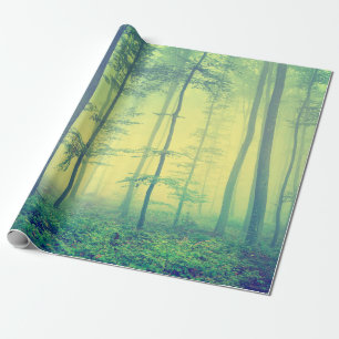 Papel De Presente Foto de primavera nebulosa.