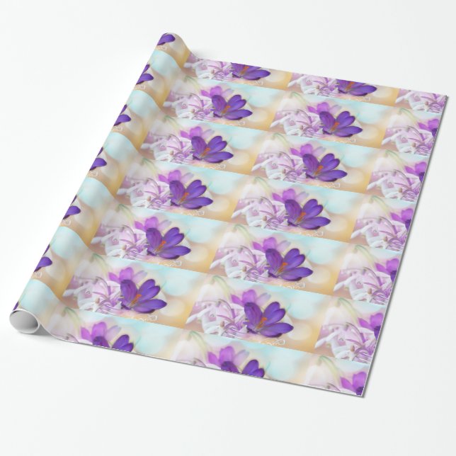 Papel De Presente Foto de um Bonito Crocus Primavera púrpura com pad (Desenrolado)