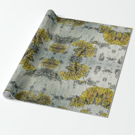 Papel De Presente Foto do Latido de Árvore Real Aspen - Amuleto Natu