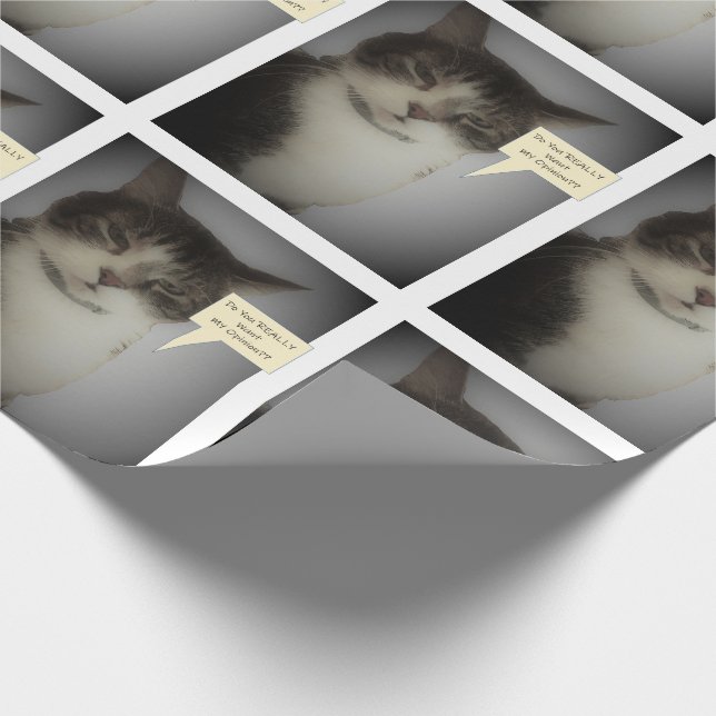 Papel De Presente Foto engraçada do gato (Ponta)