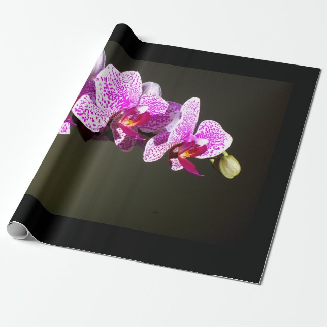Papel De Presente Foto floral tropical de orquídeas rosa elegantes (Desenrolado)