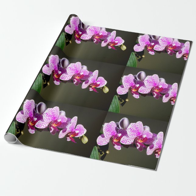 Papel De Presente Foto floral tropical de orquídeas rosa elegantes (Desenrolado)