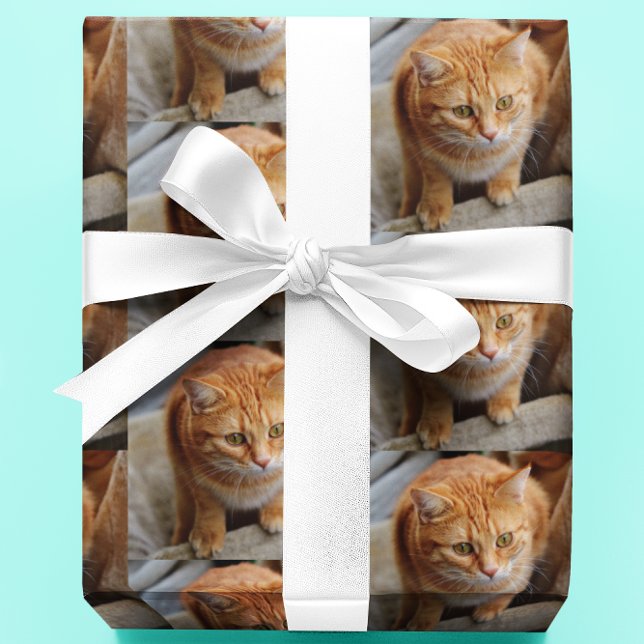 Papel De Presente Foto Personalizada de Cachorro Gato de Estimação (Criador carregado)
