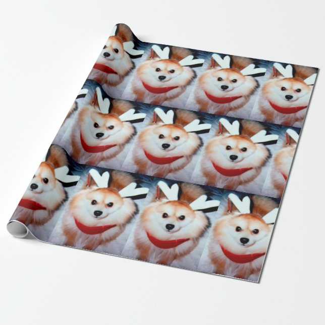 Papel De Presente Foto Personalizada Pomeraniana de Cachorro de Nata (Desenrolado)