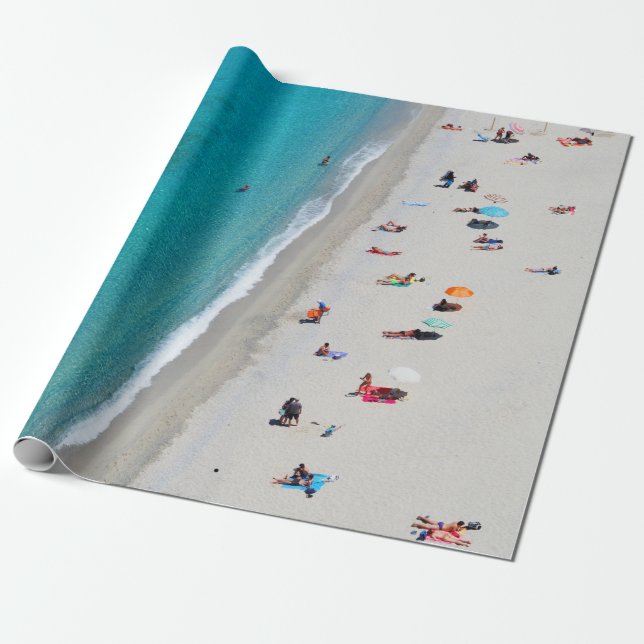 Papel De Presente Foto visual de Bird de pessoas na praia (Desenrolado)