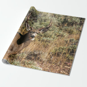 PAPEL DE PRESENTE FOTOGRAFIA DA VIDA SELVAGEM DE BUCK