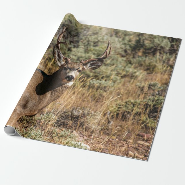 PAPEL DE PRESENTE FOTOGRAFIA DA VIDA SELVAGEM DE BUCK (Desenrolado)