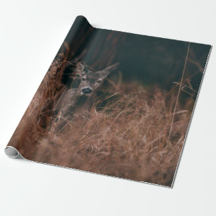 PAPEL DE PRESENTE FOTOGRAFIA DA VIDA SELVAGEM DE CINZAS RODADAS PELA