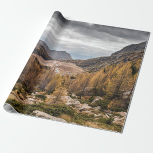 PAPEL DE PRESENTE FOTOGRAFIA DA VISTA DO PÁSSARO DAS ÁRVORES PERTO