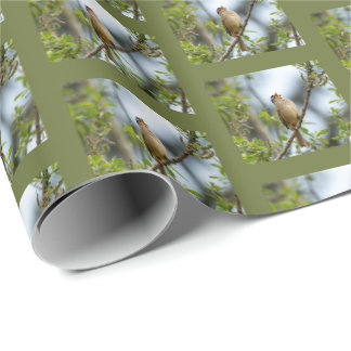 Papel De Presente Fotografia de Ave de Arte Fino - Pardal-de-coroa-b