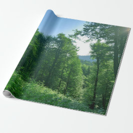 Papel De Presente Fotografia de Paisagem Verde