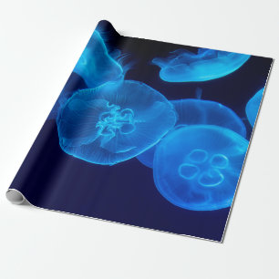 PAPEL DE PRESENTE FOTOGRAFIA FECHADA DE NASCIMENTO DE PEIXE