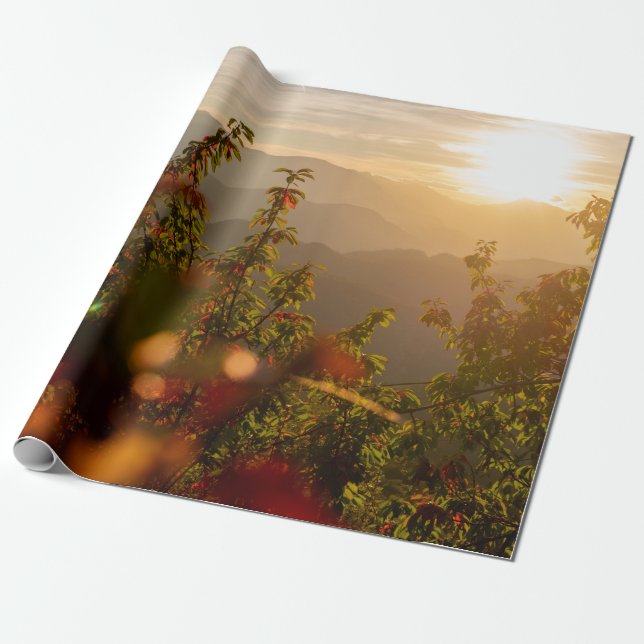 PAPEL DE PRESENTE FOTOGRAFIA NATUREZA DE ÁRVORES VERDES COM SOBREPOS (Desenrolado)