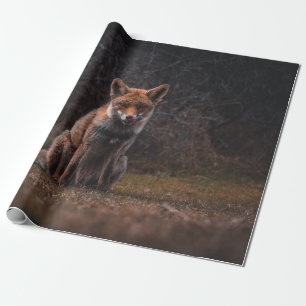 PAPEL DE PRESENTE FOX NO CAMPO DE GRAU