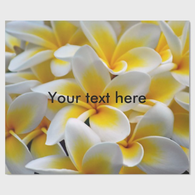 Papel De Presente Frangipani Plumeria Flower Photo (Aberto)