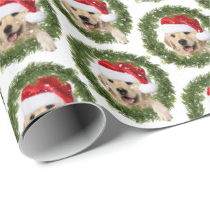 Papel De Presente Frasto de Natal do ouro Retriever