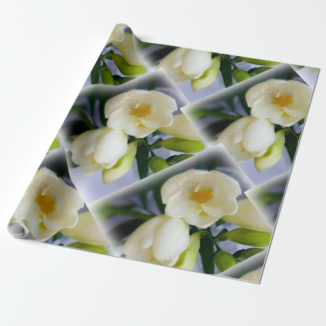 Papel De Presente freesia amarela branca (Desenrolado)