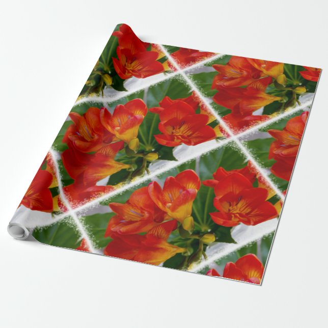 Papel De Presente Freesia vermelha (Desenrolado)