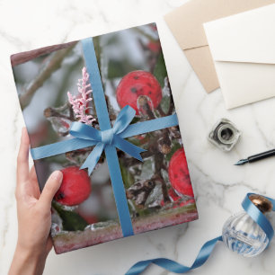 Papel De Presente Frutas Congeladas em um Galho de Árvore Foto 