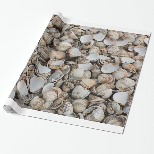 Papel De Presente Fundo de conchas (Desenrolado)