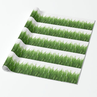 Papel De Presente Fundo de grama verde